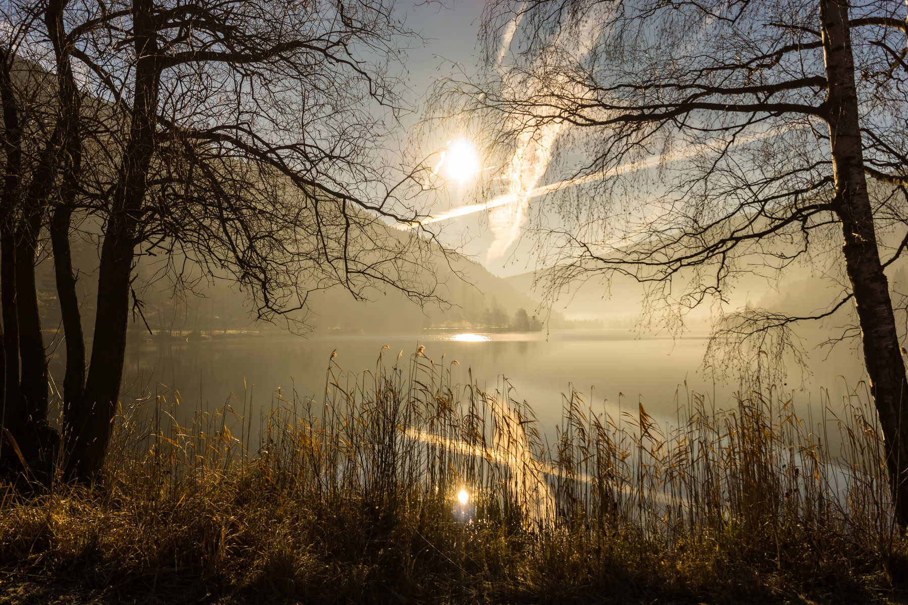 Natural Lake Landscape